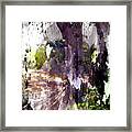 A Hint Of Trees Framed Print