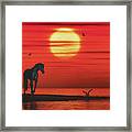 A Horse And A Seagull Framed Print