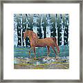 A Horse In A Forest Of Dreams Framed Print