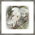 A Horse Named Milkweed Framed Print