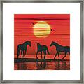 A Horse On The Beach Waiting For The Other Horses Framed Print