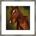 A Horse With No Name Framed Print