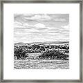 A Monochrome View Of The Scout Moor Wind Farm Looking From Heywood, Greater Manchester. Framed Print