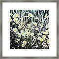 A New Cluster Of Daisies Framed Print