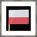 Flag Of Poland Framed Print