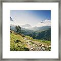 A Path Among The Mountains Framed Print