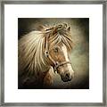 A Place To Hide Framed Print