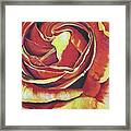 A Rose And A Lady Framed Print