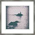A Seagull Rests Framed Print