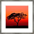 A Solitary Acacia Tree In The African Sunset Framed Print