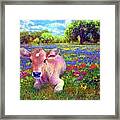 A  Very Content Cow Framed Print