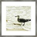 A Walk In The Surf Framed Print