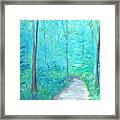 A Walk In The Woods Framed Print