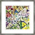 A Whirl Of Orchids Framed Print