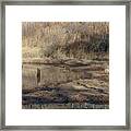 A Winter Grassed Pond Framed Print