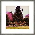 Arboretum In Spring Framed Print