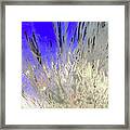 Abstract 1979 Framed Print