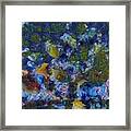 Abstract Evening Framed Print