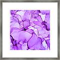 Abstract Fresh Purple Ink Liquid Framed Print