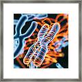 Abstract Genetics Disease Framed Print