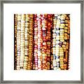 Abstract Indian Corn Framed Print