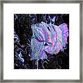 Abstract Obsessions  A8 Framed Print