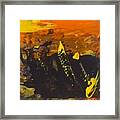 Abstract Orange Ii Framed Print