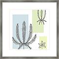 Abstract Plants Pastel 1 Framed Print