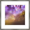 Abstract Play Of Light Framed Print
