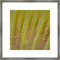 Abstract Yellow Framed Print