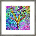 Acid Neon Scilla Amoena Botanical Art N.0365 Framed Print