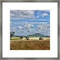 Across The Paddock Framed Print