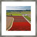 Aerial Tulips5 Framed Print