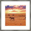 African Sunset Framed Print