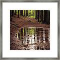 After The Rains Came Framed Print