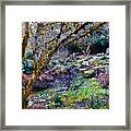 Afternoon In An Asian Garden Framed Print