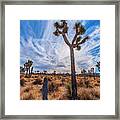 Afternoon In Joshua Tree Framed Print