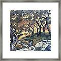 Afternoon Sun In The Olive Grove Paxos Framed Print