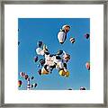 Airabelle The Cow Aibf 5 Framed Print