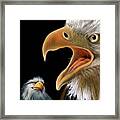 Alaska Eagles Framed Print