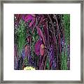 Alices Paradise Framed Print