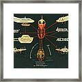 Alien Insects #7 Framed Print