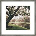 Allentown Tree By The Pond Framed Print