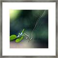 Alone Above The River Framed Print