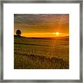 Alone With The Sunset Framed Print