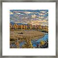 Along The Gros Ventre River In Autumn Framed Print