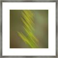Altered Reality 26a - Wildflower Impressionistic Art Framed Print
