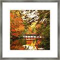 Amazing Autumn Tapestry Framed Print