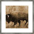 American Buffalo 6 In Sepia Tone Framed Print