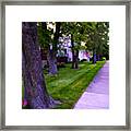 American Flag Through The Trees - Square Framed Print